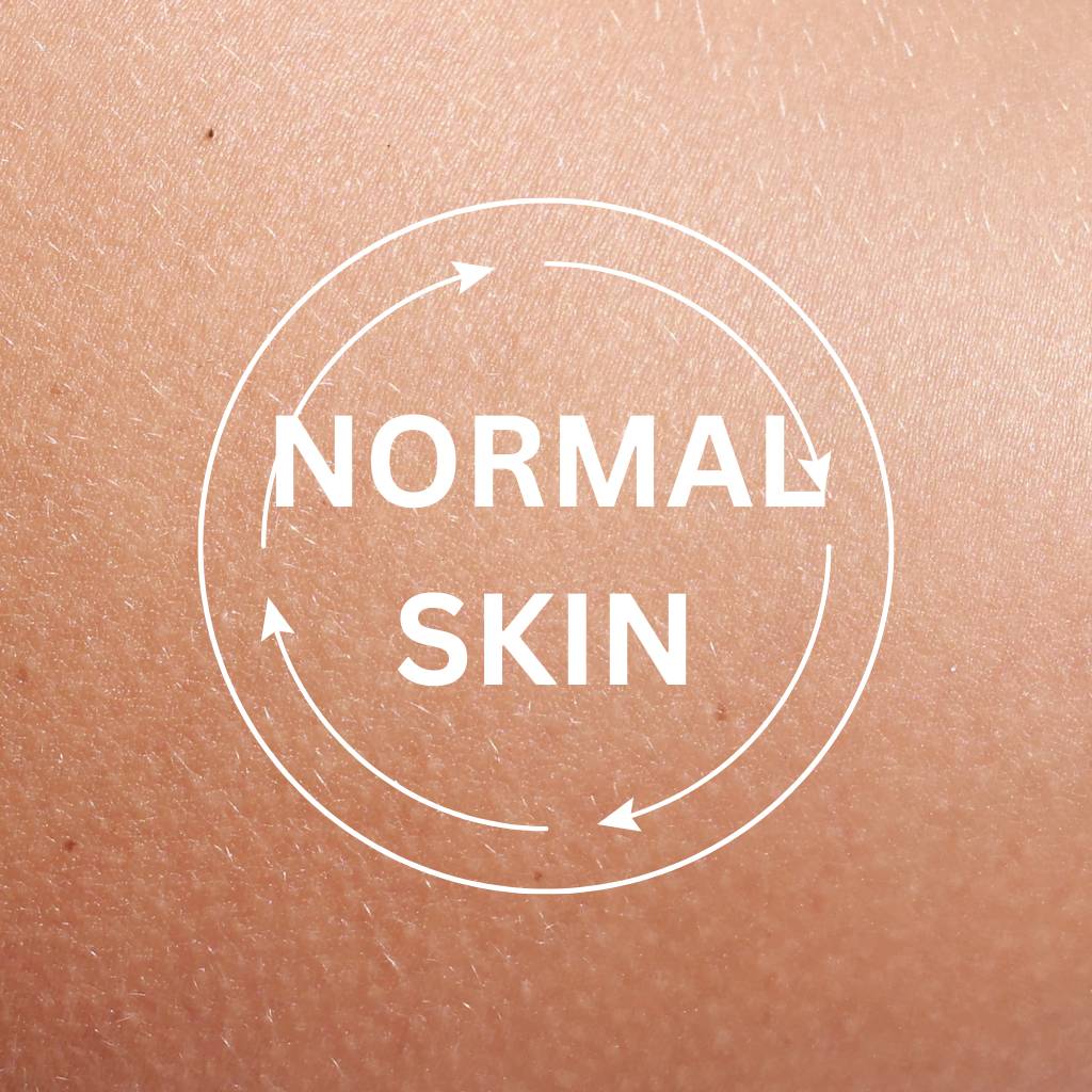 NORMAL SKIN