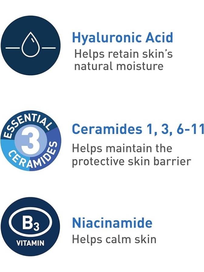 List of skincare ingredients with icons and descriptions on a white background