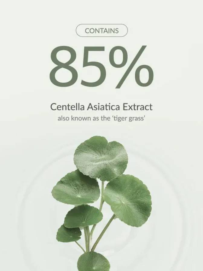 Product packaging with Centella Asiatica extract and tiger grass illustration on a light gray background