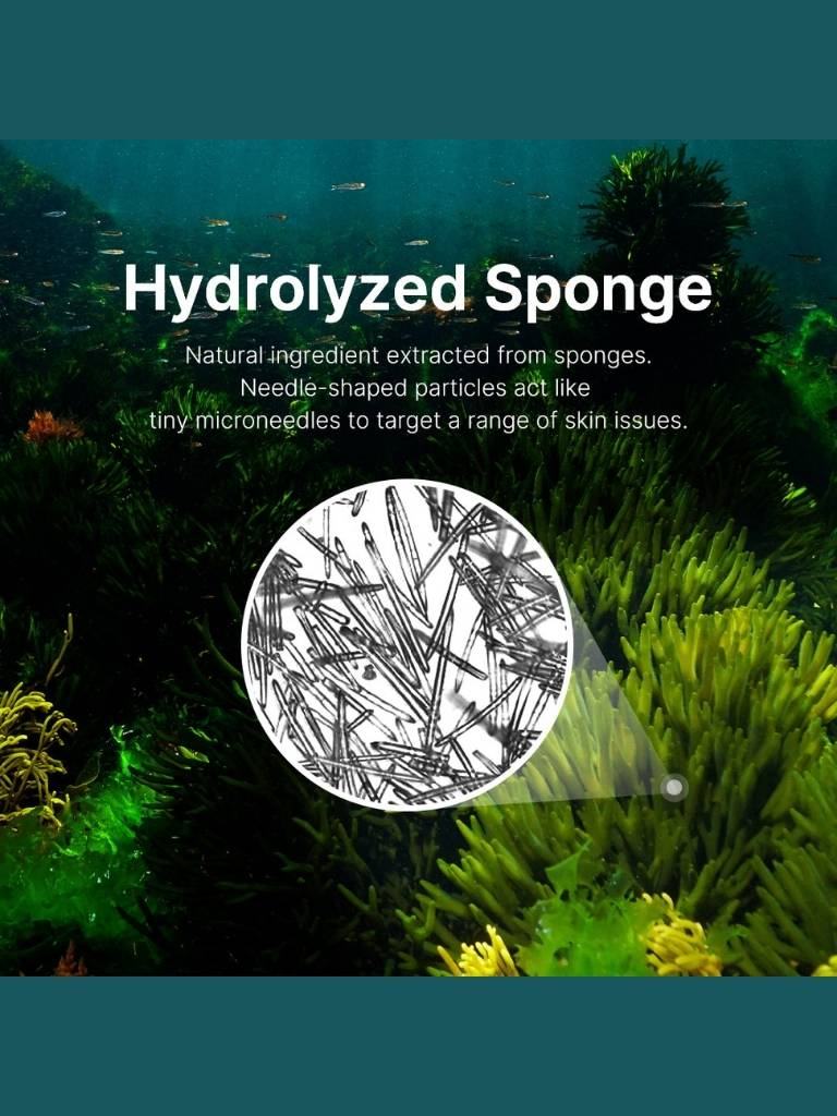 Advertisement for hydrolyzed sponge with underwater scene and close-up of sponge particles.