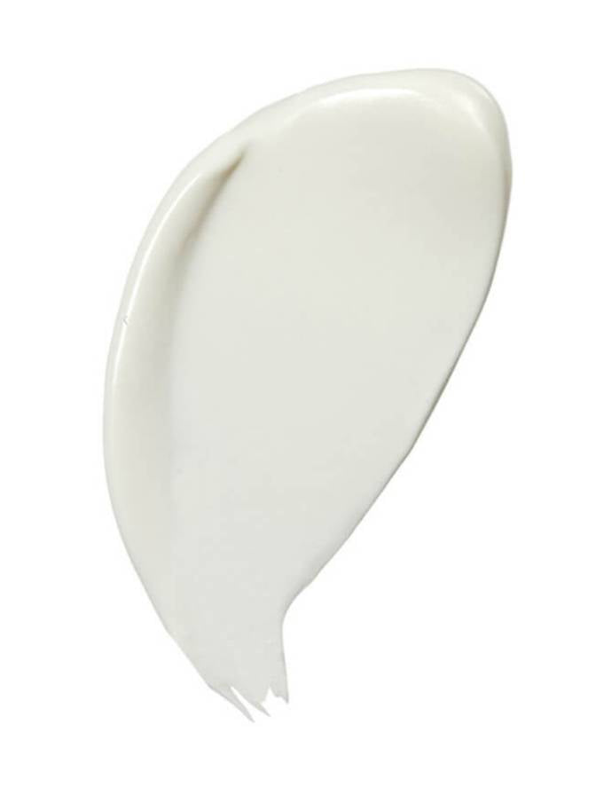 White ceramic plate on a white background
