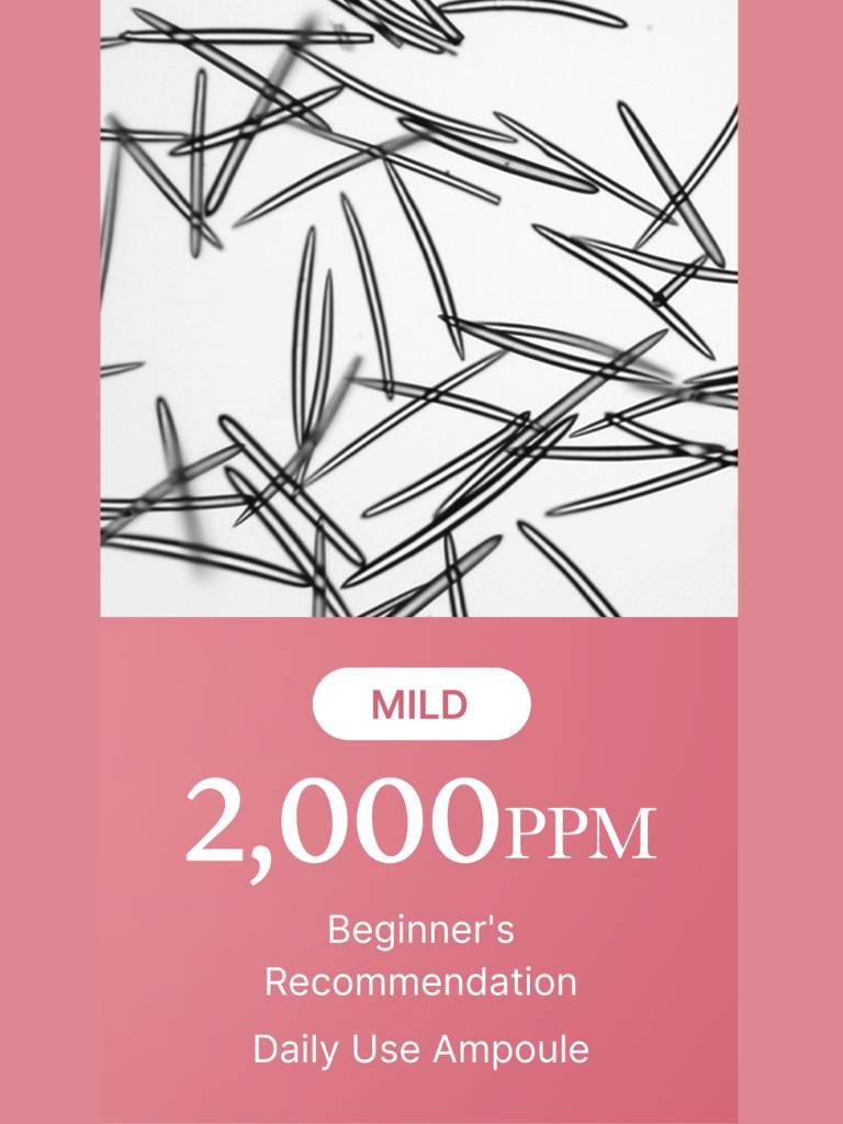 Product packaging with black needles on a white background and pink border, labeled 'Mild 2,000 PPM Beginner's Recommendation Daily Use Ampoule'.